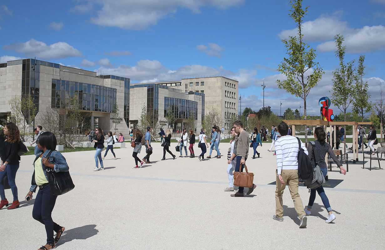 dijon3